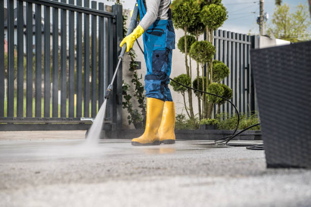 Best Animal Enclosure Cleaning  in Canton, NC